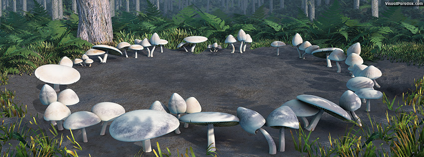 facebook, coverphoto, cover, mushrooms, toadstools, circle, forest, woods, fungus, patch, glen, mushroom, toadstool, circles, 3d