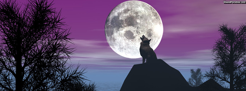 facebook, coverphoto, cover, timber, wolf, howling, baying, moon, lunar, purple, pines, forest, coyote, wolves, animal, animals, 3d