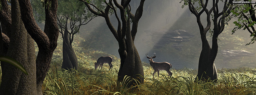 facebook, coverphoto, cover, deer, crooked, forest, woods, glen, sun, rays, grass, trees, lake, buck, doe, 3d
