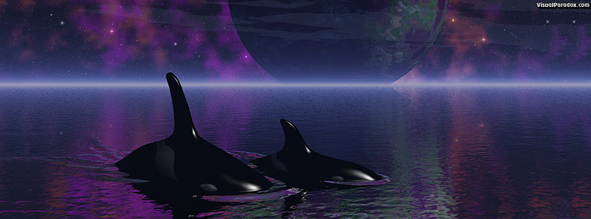 facebook, coverphoto, cover, killer whales, planet, space, ocean, water, spiritual, stars, space, orca, whales, planets, 3d