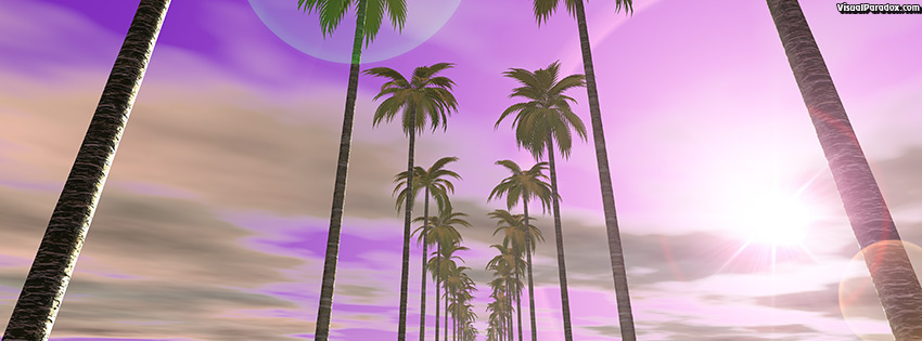 facebook, coverphoto, cover, palm tree, sky, clouds, purple, flare, sun, bright, sunset, sunrise, trees, 3d
