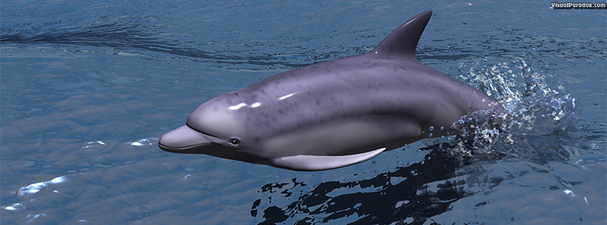 facebook, coverphoto, cover, fast, dolphin, porpoise, swimming, water, ocean, sea, speed, swim, dolphins, animal, animals, 3d