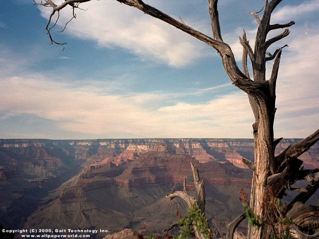'Grand Canyon 3' 640x480 Free 3D Wallpaper