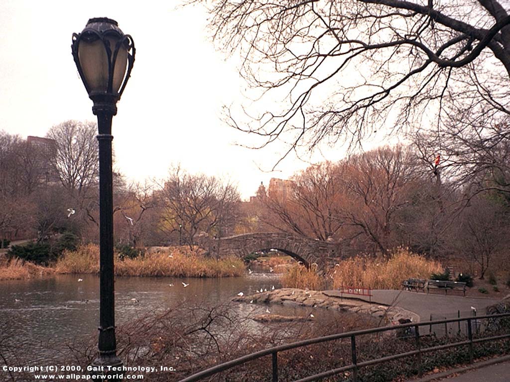 'New York Central Park' 1024x768 Free 3D Wallpaper
